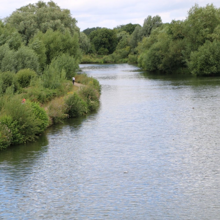 River Thames surrounded by green shrubs and walking path